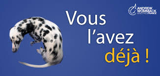 Vous l'avez déjà - Andrew Wommack